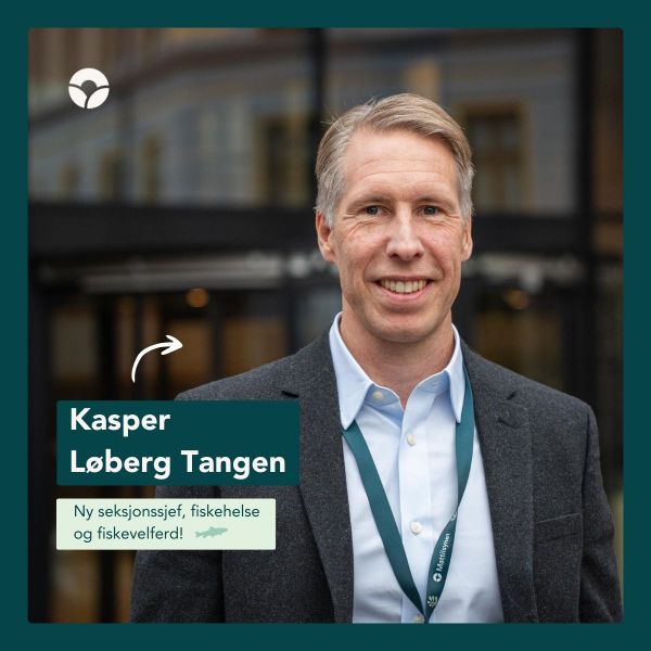Kasper Løberg Tangen
